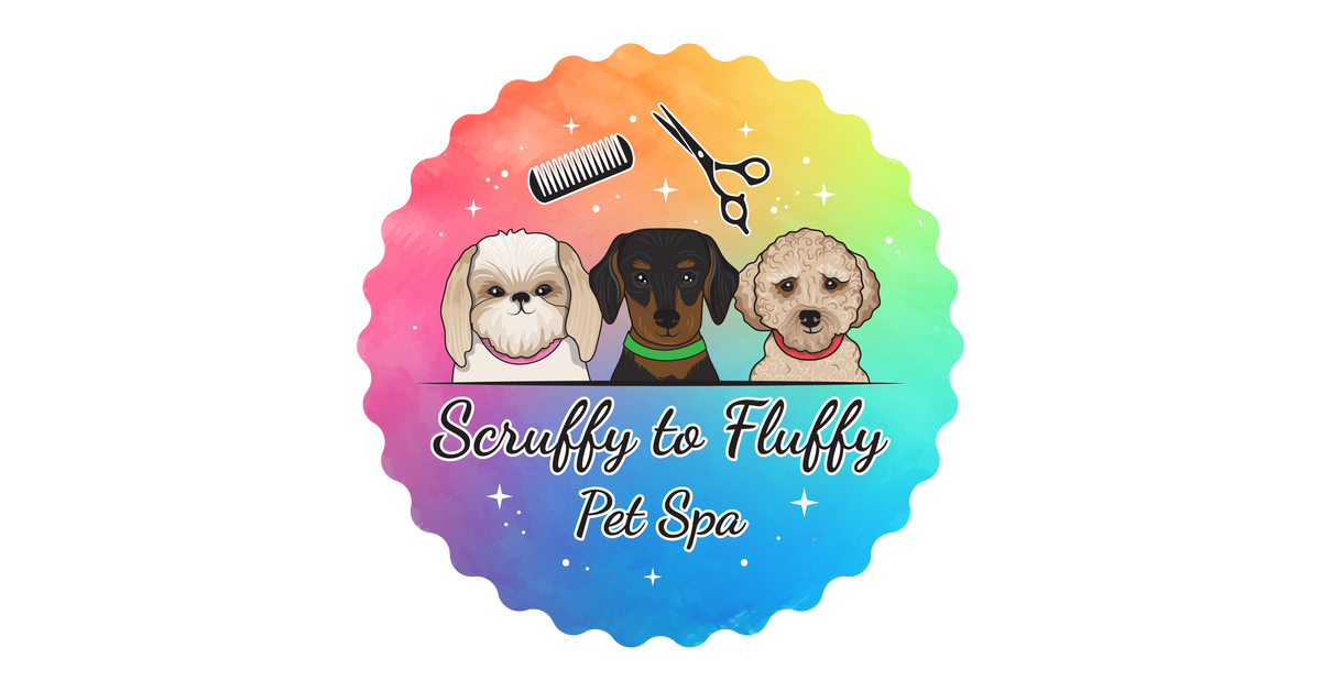 Scruffy to best sale fluffy pet