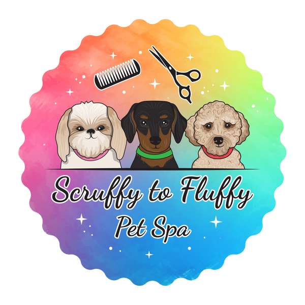 Scruffy to fluffy deals durbanville